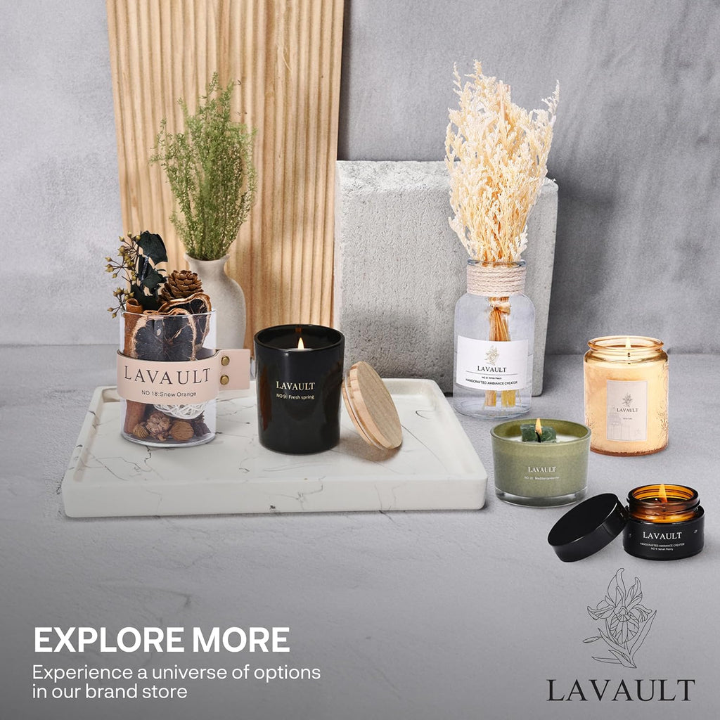 Lavault Reed Diffuser Set for Home, Office, Bedroom & Bathroom - Essential Oil Home Fragrance with Reed Sticks - Snow Orange Scented