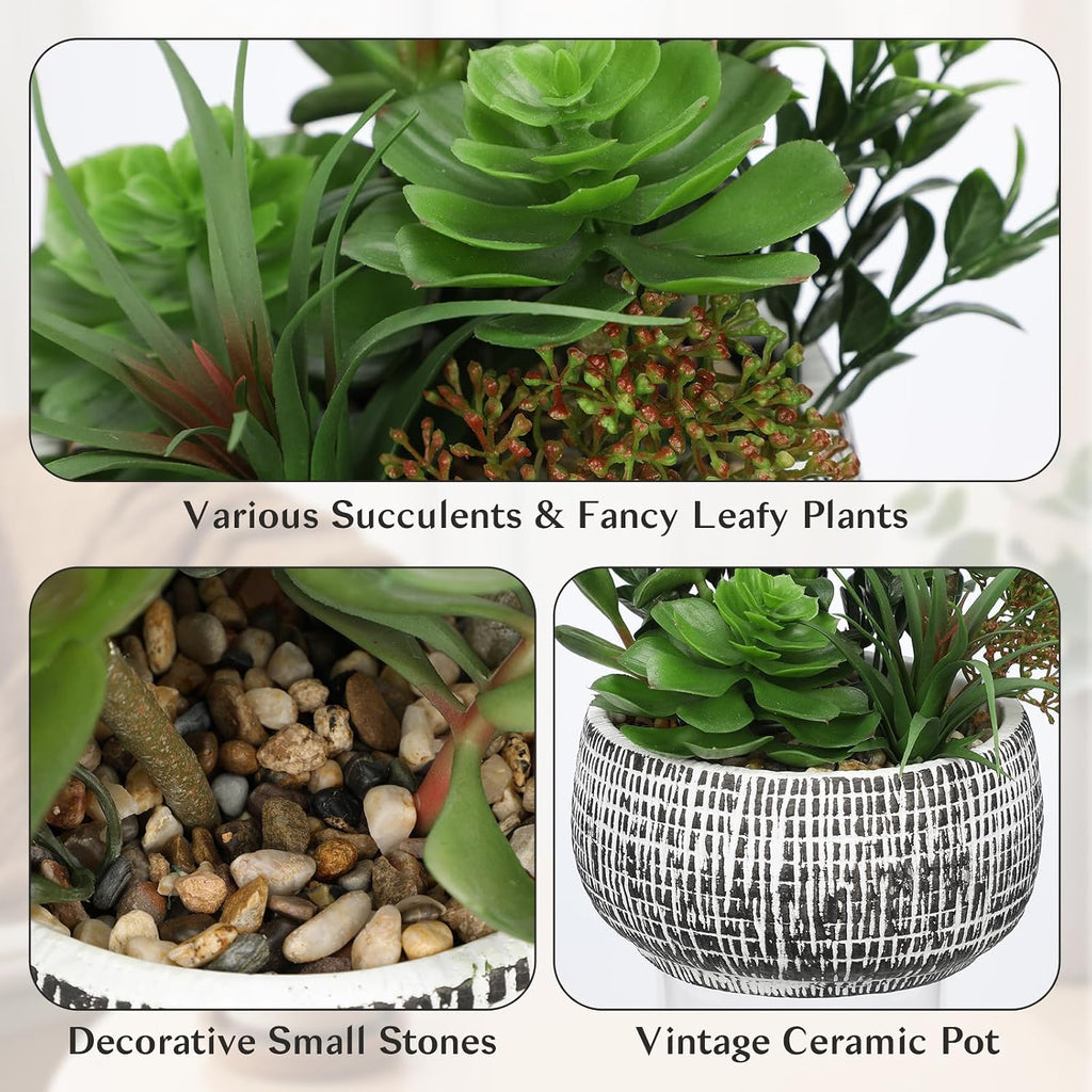 Large Artificial Succulents in Ceramic Pot Faux Succulent Arrangement 10"
