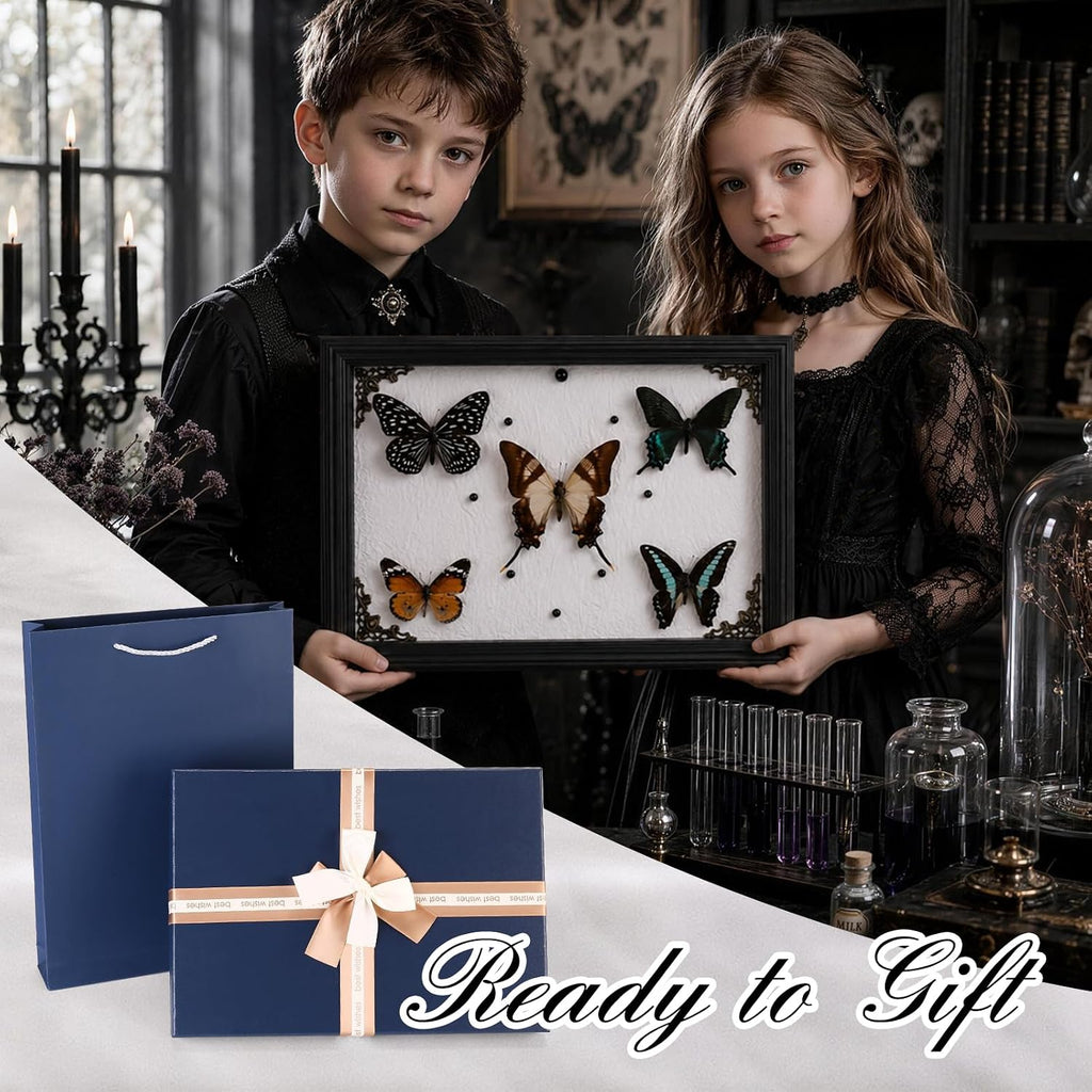 Duxjaqu Real Butterfly Taxidermy Frame with 5 Preserved Butterflies