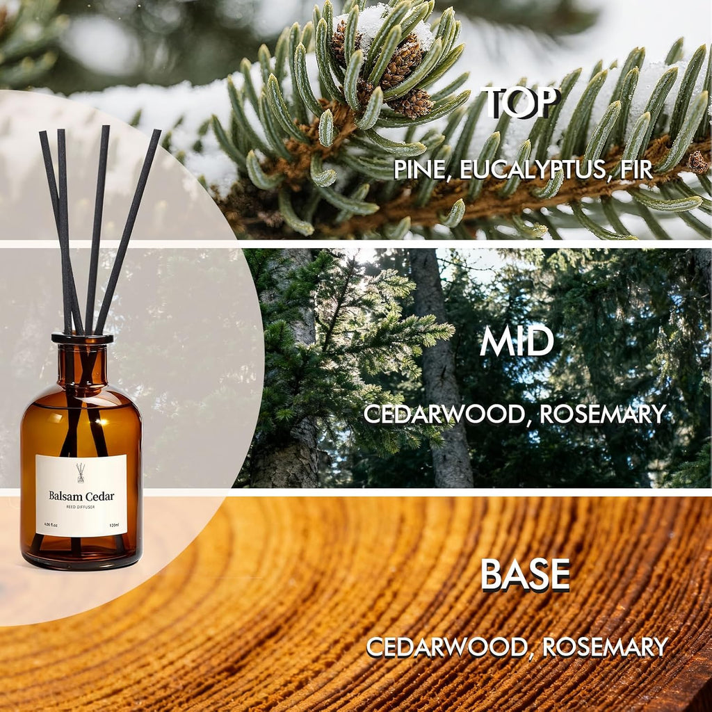 Balsam Cedar Reed Diffuser Set - Includes Reed Diffuser Sticks, 2 Pack Fragrance Oil and Glass Bottle, Reed Diffusers for Home Bathroom Shelf Decor & Gift, Air Fresheners (8.12 fl.oz)
