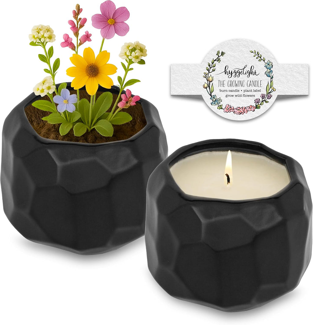 Hyggelight - The Growing Candle, Lavender Scented, 13oz Ceramic Pot, Single Wick Aromatherapy Candles, 100% Soy for Women and Men, Emma