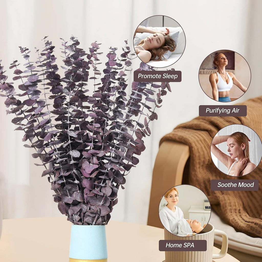 20 Pcs Dried Eucalyptus Stems, 17'' Real Purple Leaves for Shower Hanging