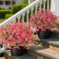 2 Pcs Artificial Flowers & Eucalyptus Topiary Trees for Porch (Rose Red)