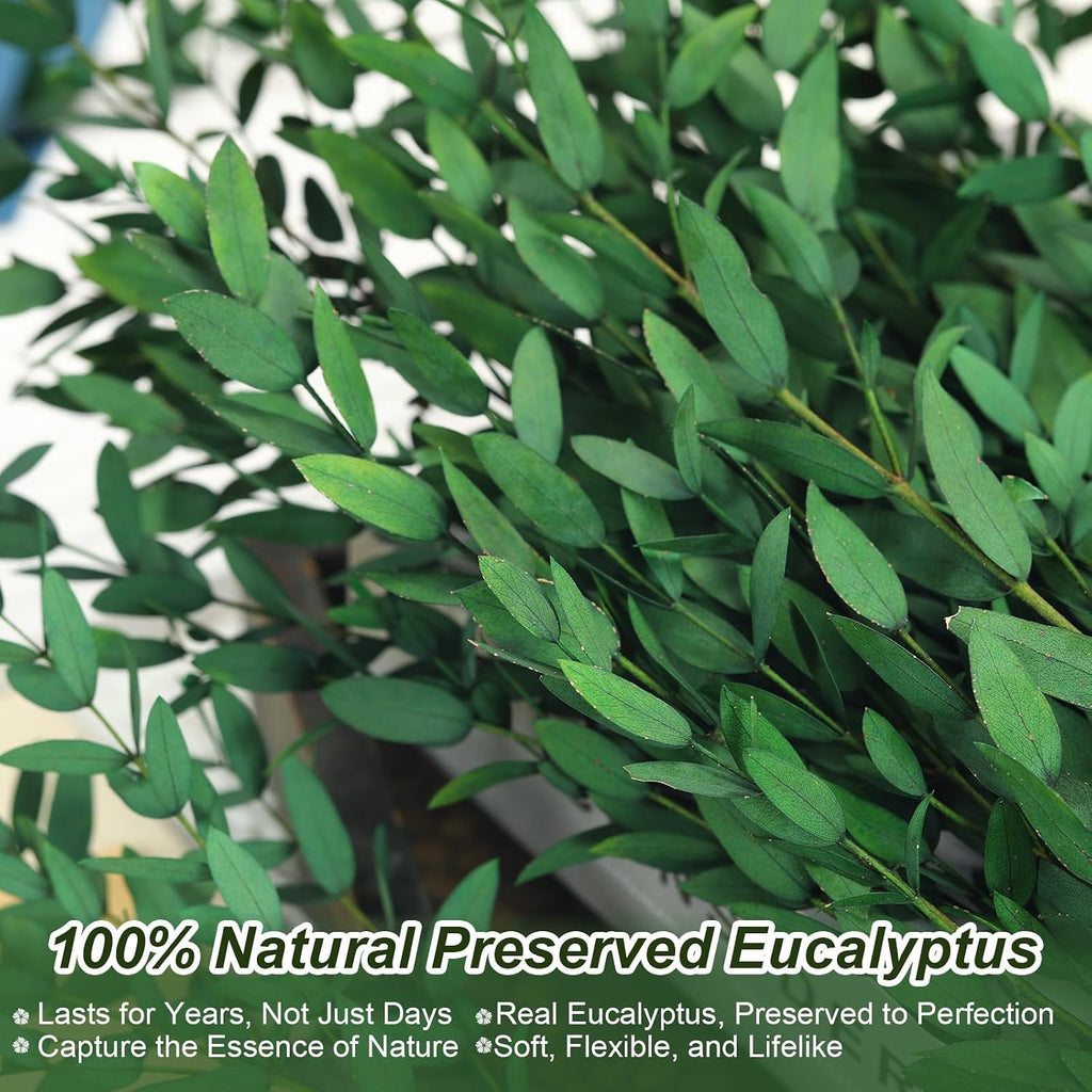 7-12 Pcs Preserved Eucalyptus Stems, 14-17" Greenery Leaves for Vase Filler