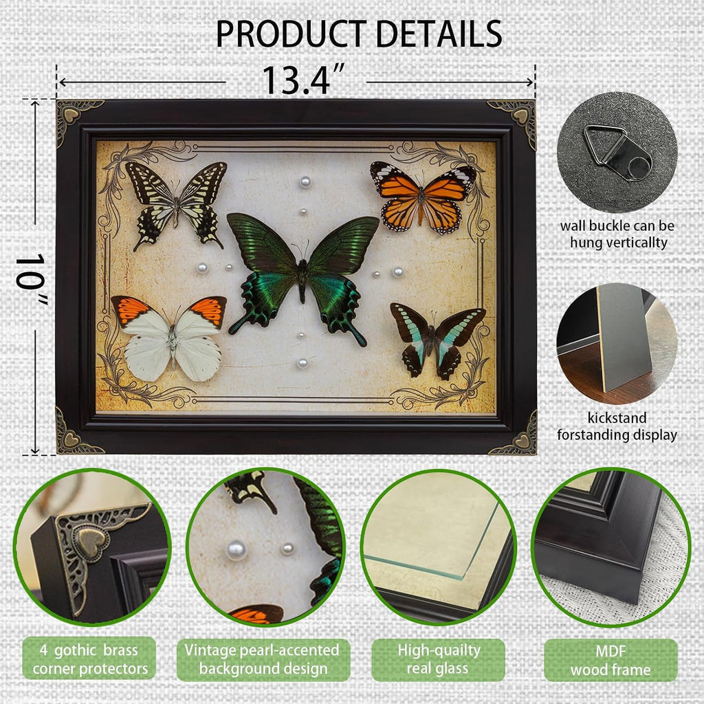 Nature's Palette 5 Real Butterfly Taxidermy Shadow Box Gift Set (10x13.4")