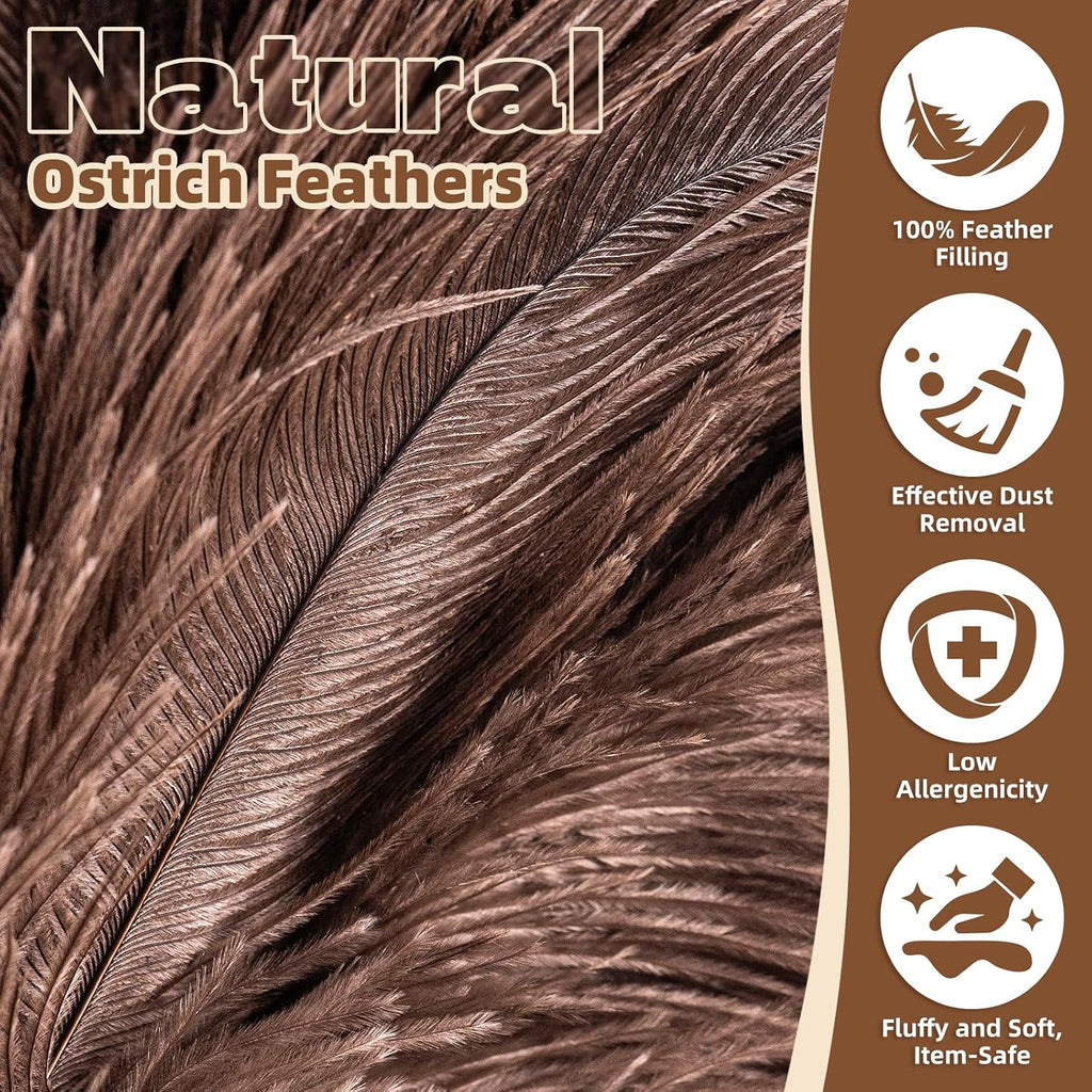 2 Pack Ostrich Feather Dusters for Cleaning with Wooden Handle, 13.5 inch