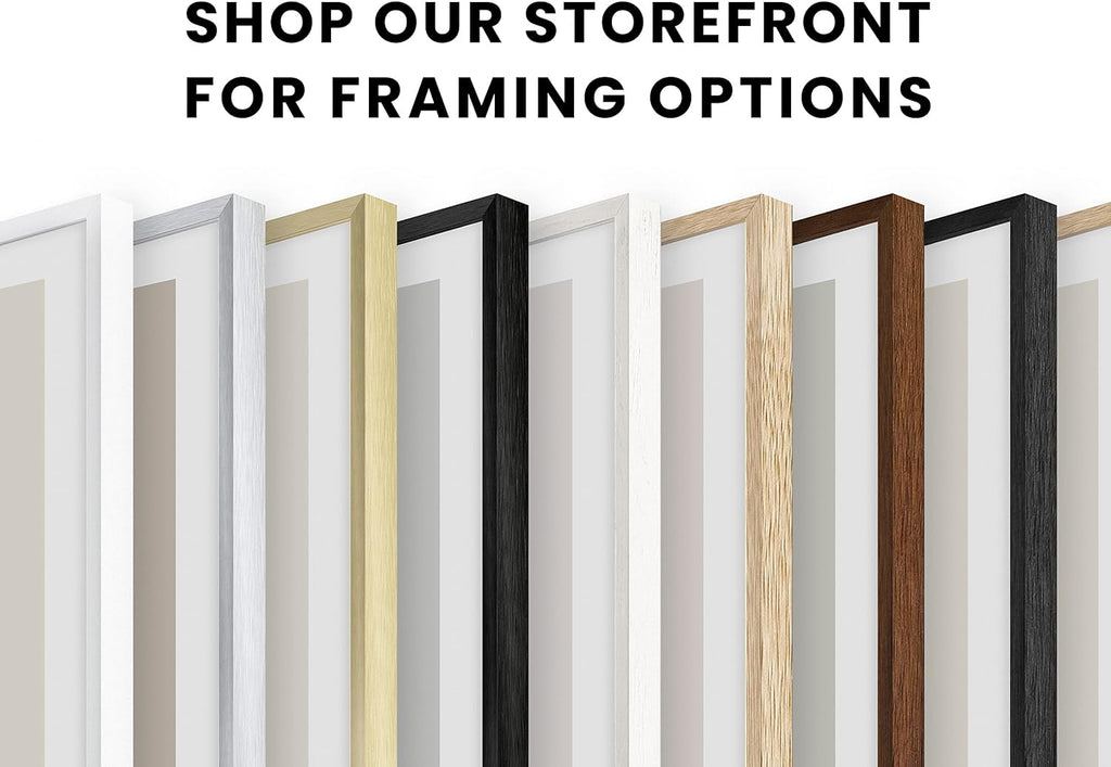 HAUS AND HUES Picture Frames for Wall - Set of 5 Black Photo Frames, Collage (Two 8x10, Three 12x16)