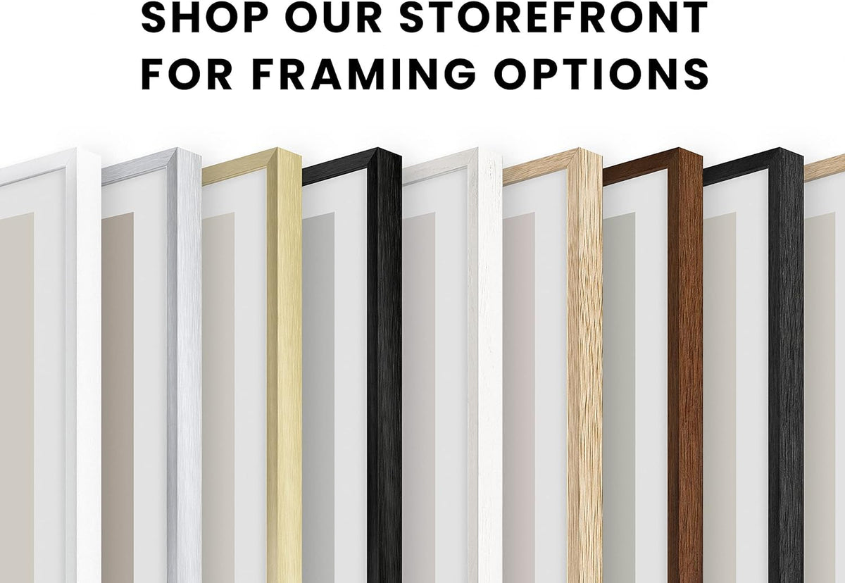 HAUS AND HUES Picture Frames for Wall - Set of 5 Black Photo Frames, Collage (Two 8x10, Three 12x16)