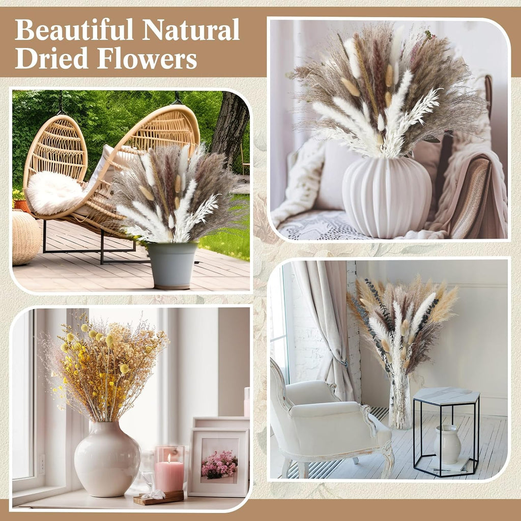Nuanchu 703 Pcs Dried Pampas Grass Flowers, Bunny Tails, Retro Style