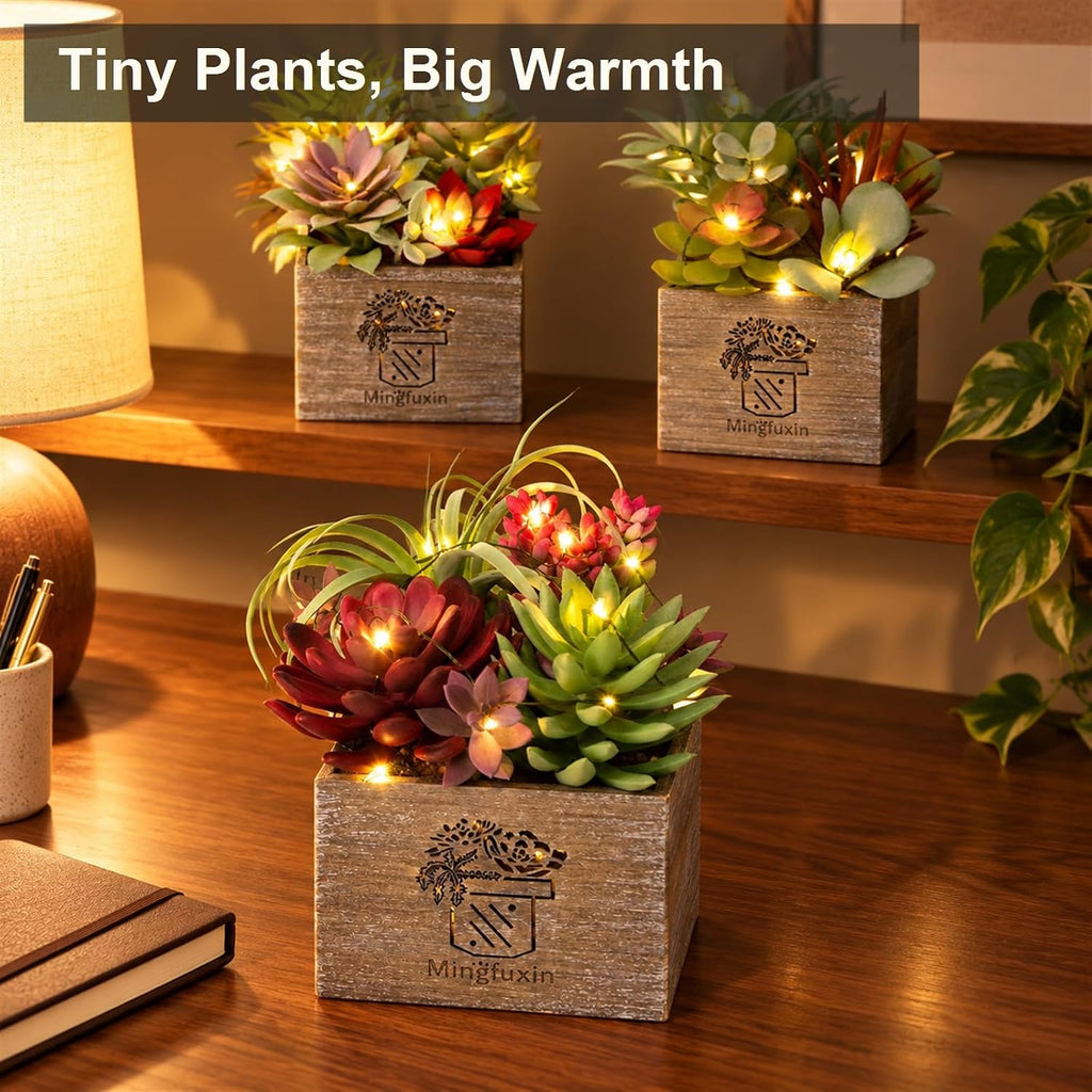 Succulents Plants Artificial with Light for Home Office Decor 3 Pack