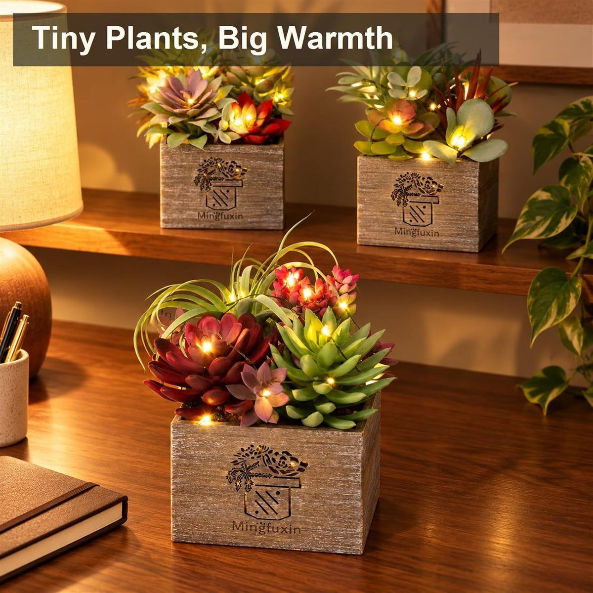 Succulents Plants Artificial with Light for Home Office Decor 3 Pack