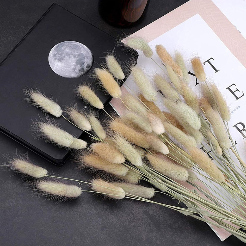 Brown Bunny Tails 120Pcs 17Inch Dried Grass for Boho Wedding Vase