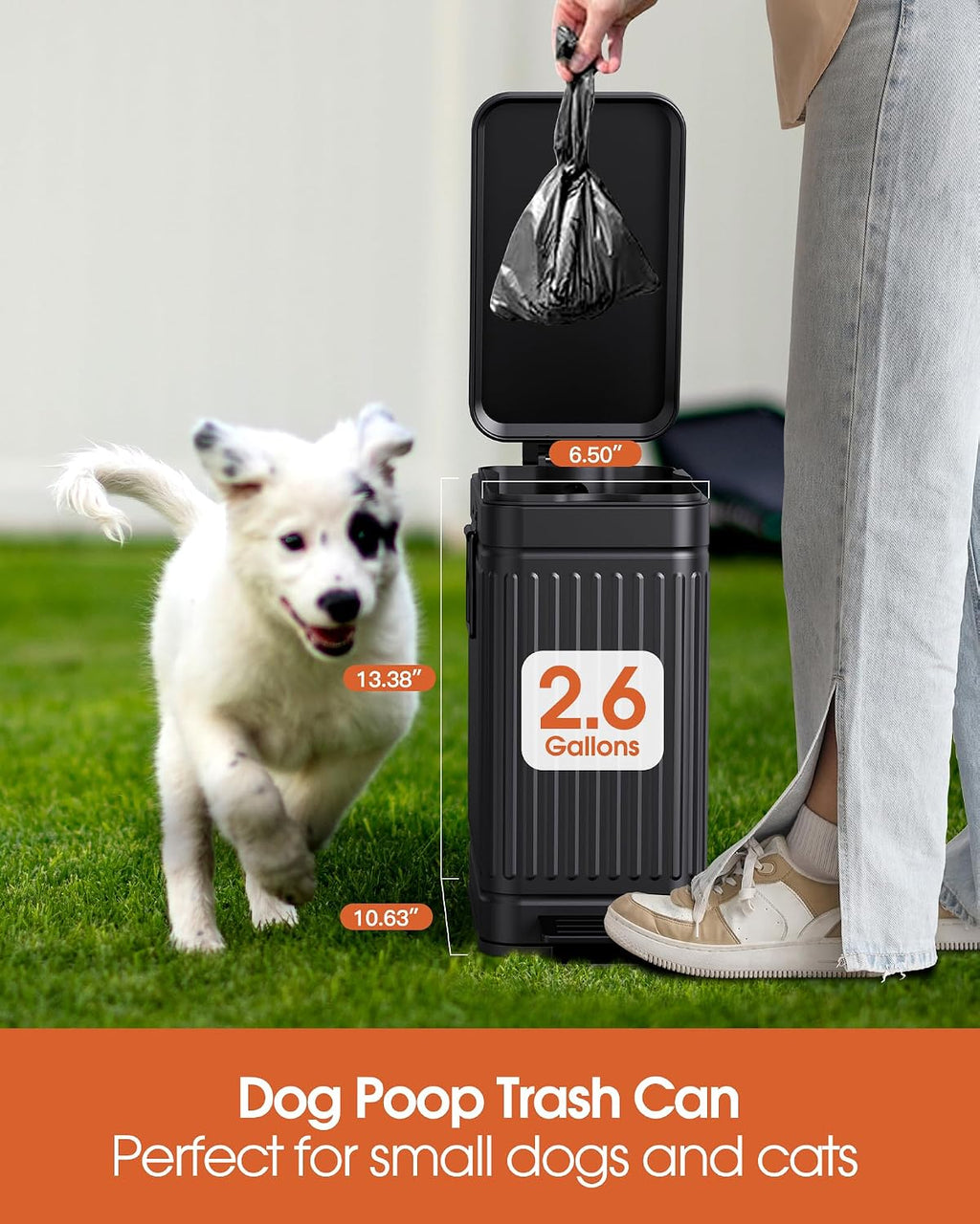 Small Trash Can with Lid, 2.6 Gal Dog Poop Trash Can, Black