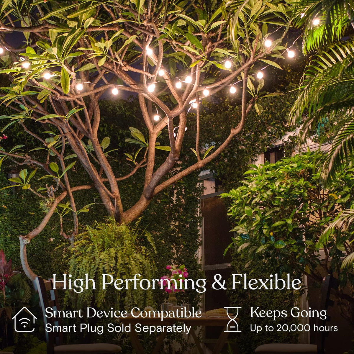 Brightech Ambience Pro LED String Lights - 26 Ft Patio Lights Outdoor Waterproof - Globe Porch String Lights for Outside, Christmas, Backyard - 12 Bulbs, 1W Vintage Edison, Warm White Black