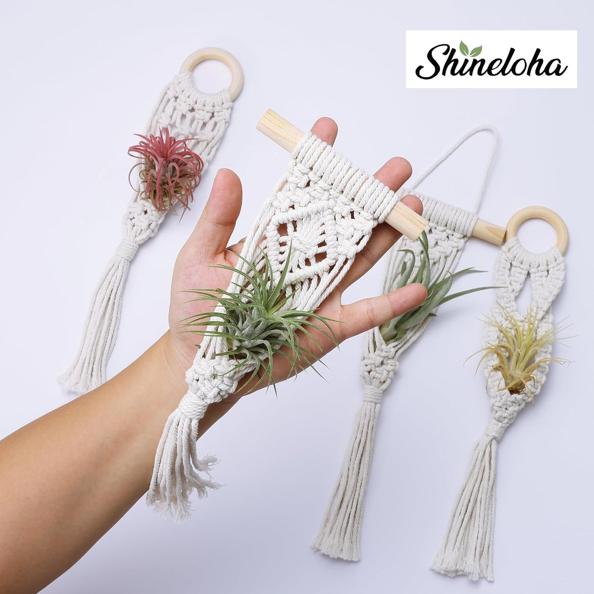 4 Pack Air Plant Holder, Air Plant Wall Hanger, Wall Plant Holder