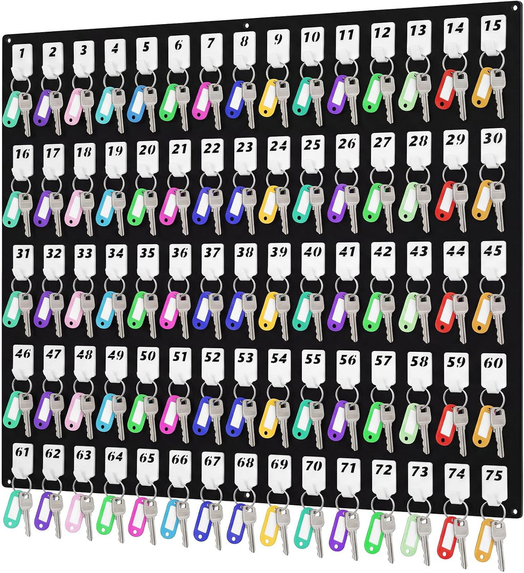 Beeveer Acrylic Key Holder Board with 75 Hooks, Wall Mount Organizer, Black