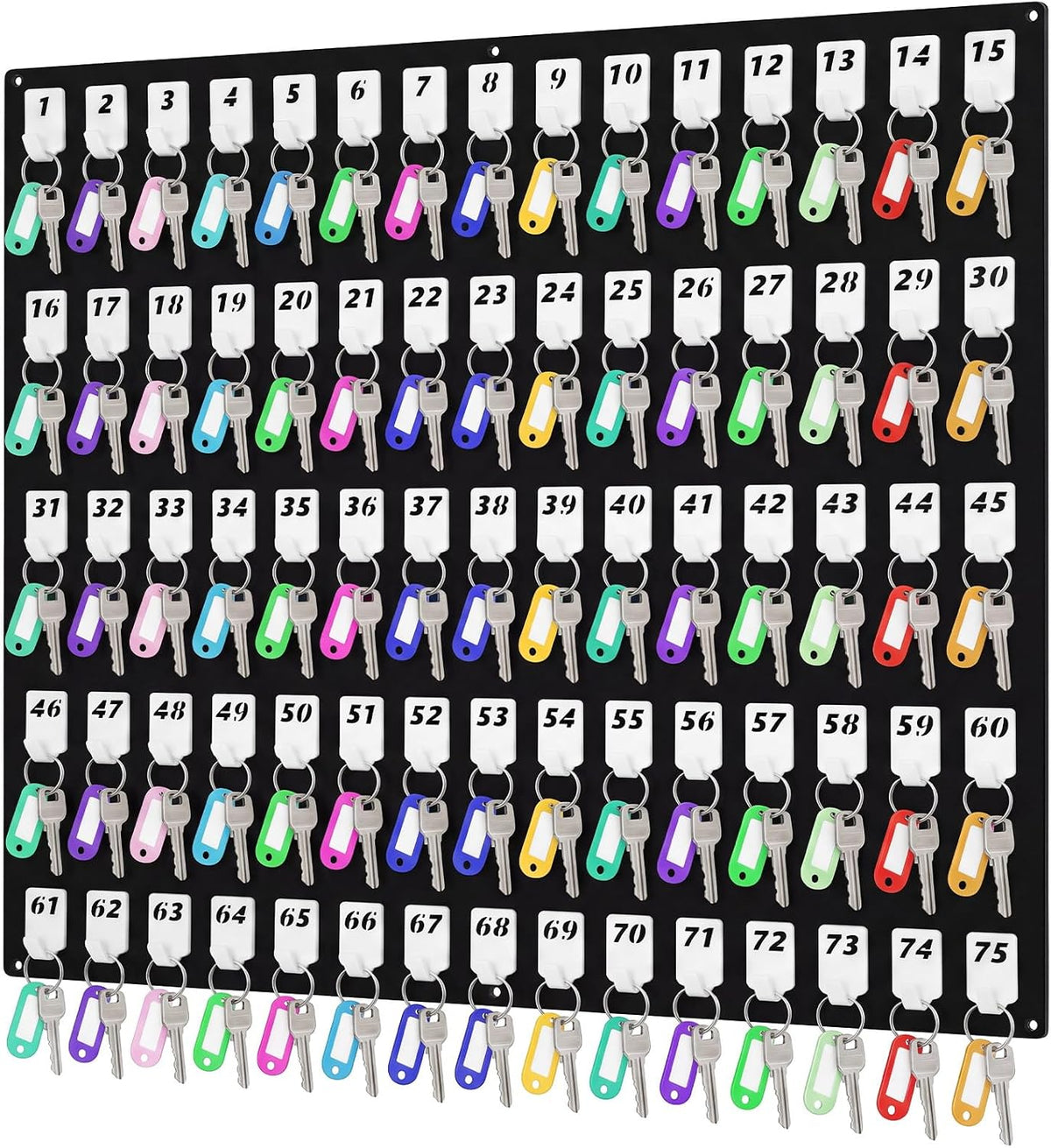 Beeveer Acrylic Key Holder Board with 75 Hooks, Wall Mount Organizer, Black