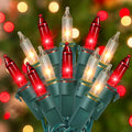 Hopolon Red Warm White Christmas Lights, 2 Pack 50 Count 13FT Green Wire