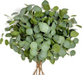 8Pcs Artificial Eucalyptus Stems, Faux Greenery Branches for Vase Decor-003