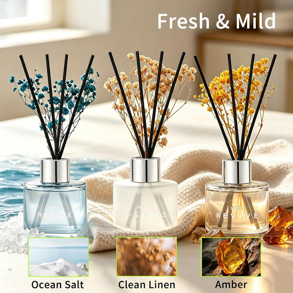 Set of 3 Scent Diffuser with Dry Flowers Ocean Salt Fresh Linen Amber