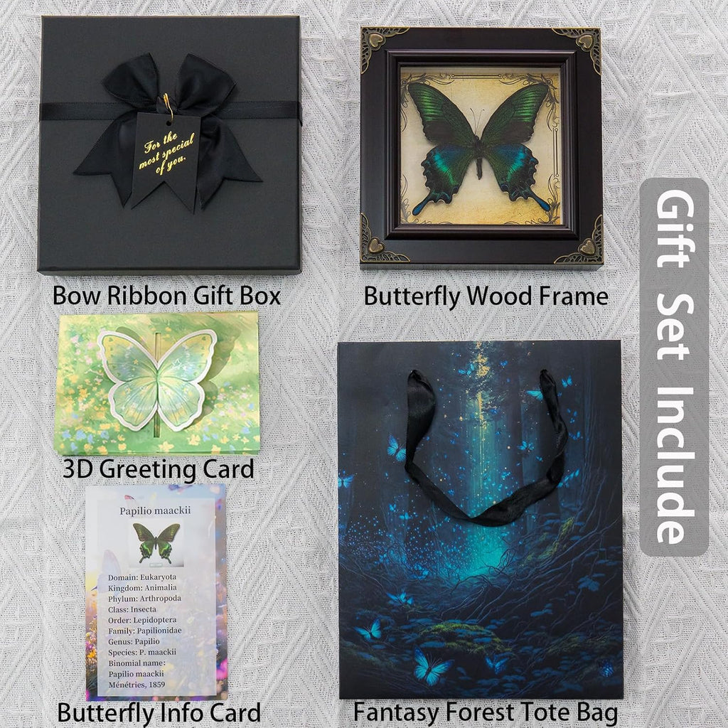 Handmade Real Butterfly Framed with 5 Pieces Gift Set - Gothic Home Decor and Vintage Frame - Butterflies Taxidermy Shadow Box Collection (Great Nawab Butterfly)