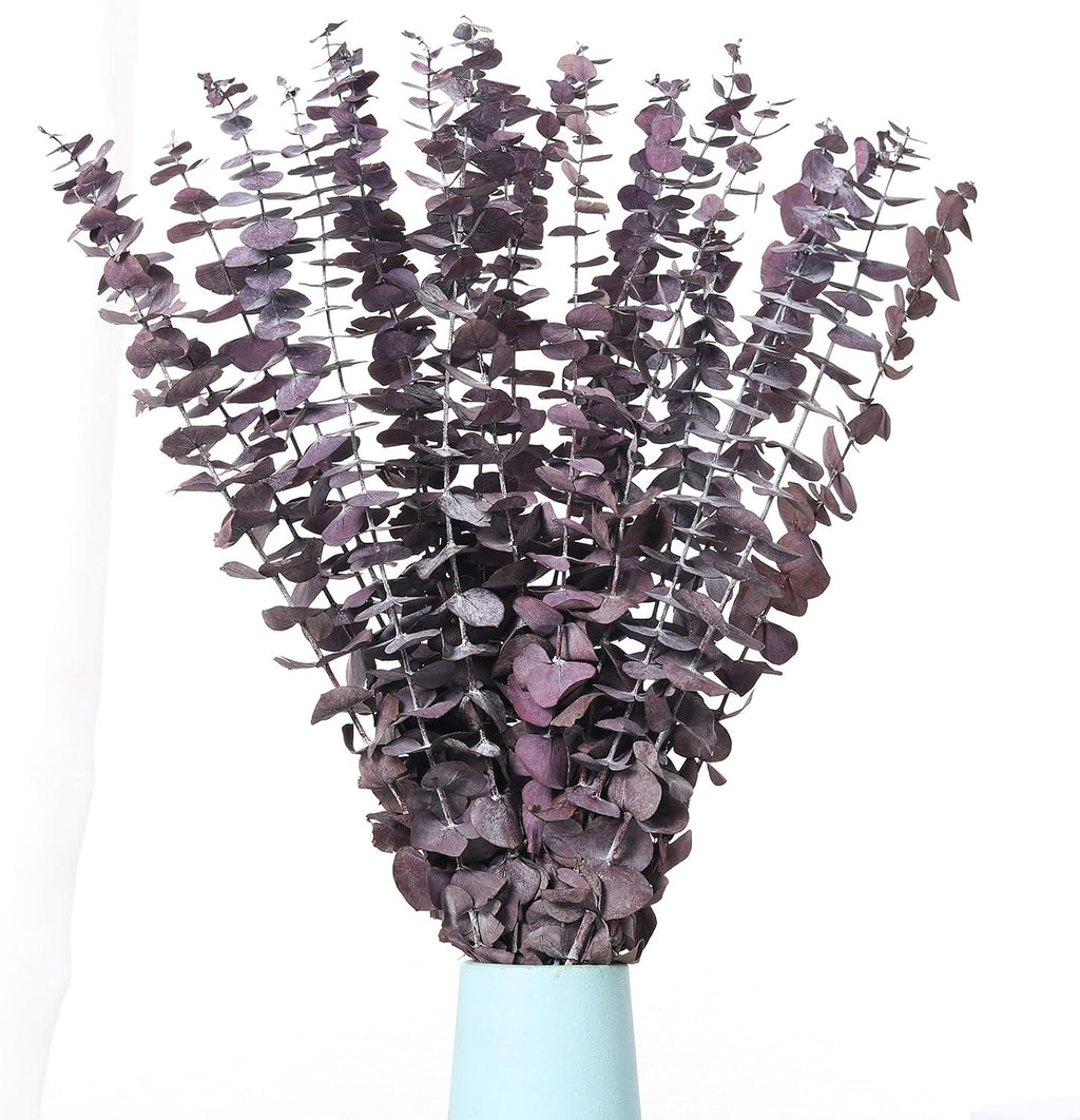 20 Pcs Dried Eucalyptus Stems, 17'' Real Purple Leaves for Shower Hanging