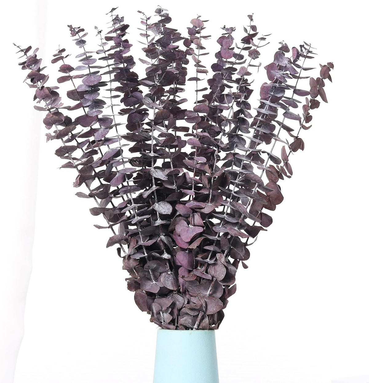 20 Pcs Dried Eucalyptus Stems, 17'' Real Purple Leaves for Shower Hanging