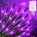 Brightown Purple Battery Operated Christmas String Lights with Timer