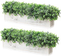 Lyrow 2 Pack Eucalyptus Plant,White,24 Inch,White Powdered Round Leaves