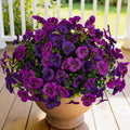 Artificial Flowers for Outdoor Faux Pansies Fake Flowers Plants,12 Bundles