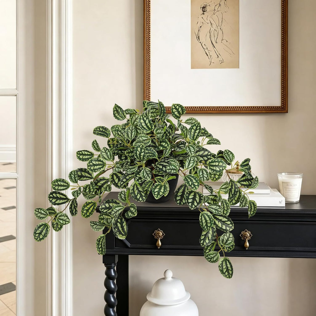 Briful Artificial Potted Plant Indoor, 19.6" Faux Watermelon Peperomia Trailing Plant in Black Pot, Realistic Fake Plants with Cascading Green Leaves for Shelf Bathroom Office Desk Kitchen Home Decor