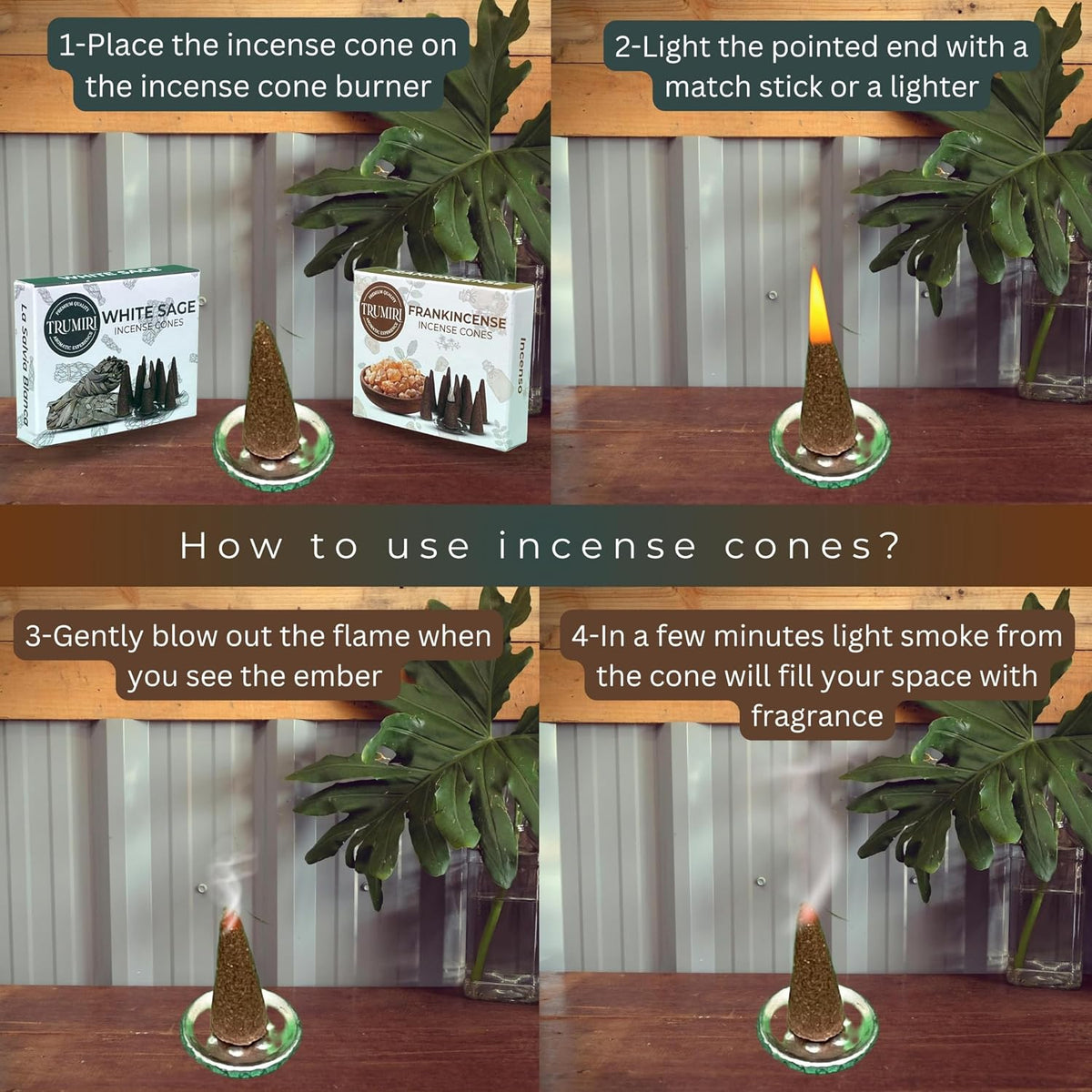 TRUMIRI Incense Cones - Combo Pack of 20 Cone Incense - 10 Frankincense + 10 White Sage