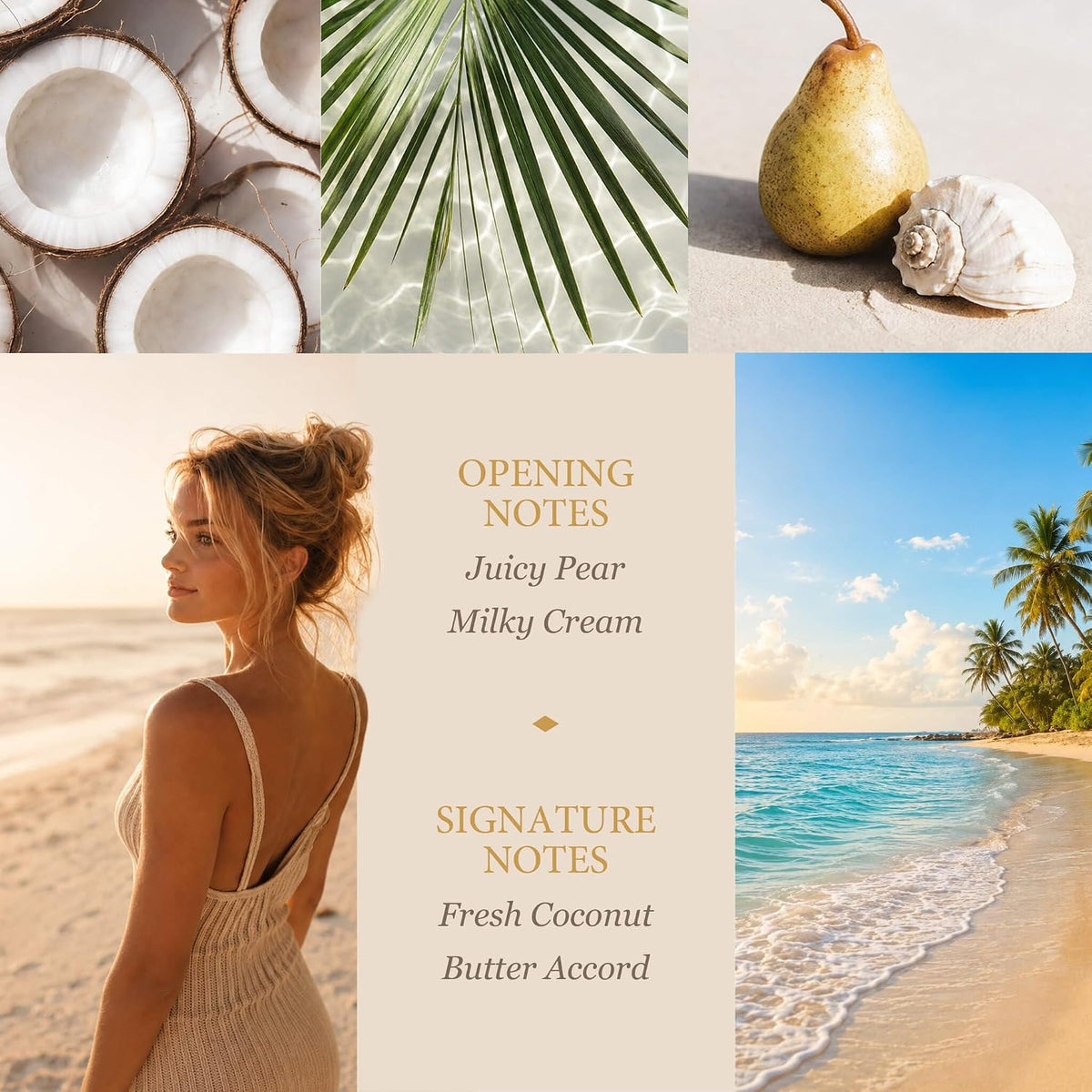 Island Coconut Scented Candle - 100% Natural Soy Wax - Large 3 Wick Jar - Up to 40 Hours Burning Time - Aromatherapy Coconut Candles for Home - Gift-Ready Box for Women and Men