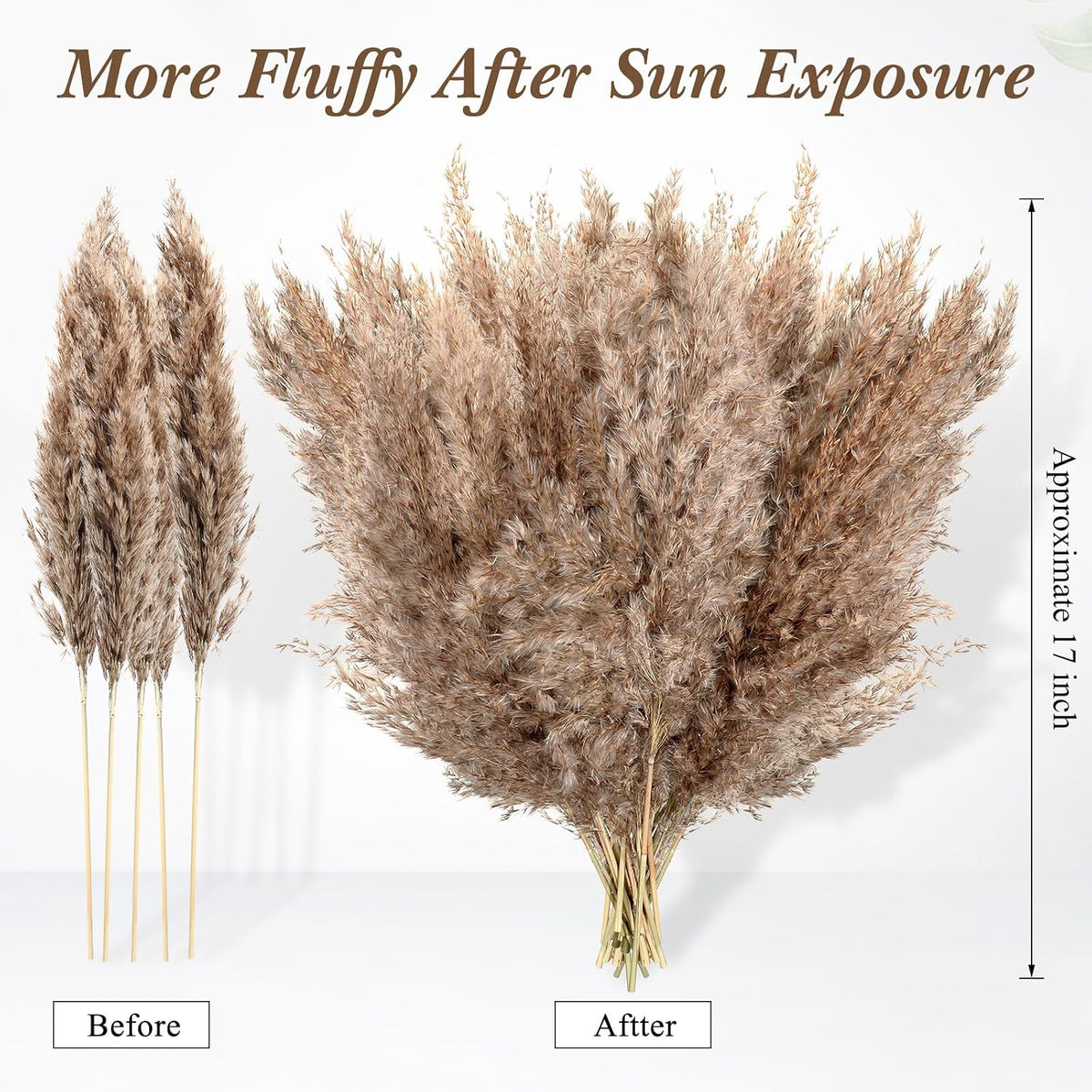 Janinka 150 Pcs Dried Fluffy Pampas Grass Bulk 17 Inch, Boho Decor, Brown