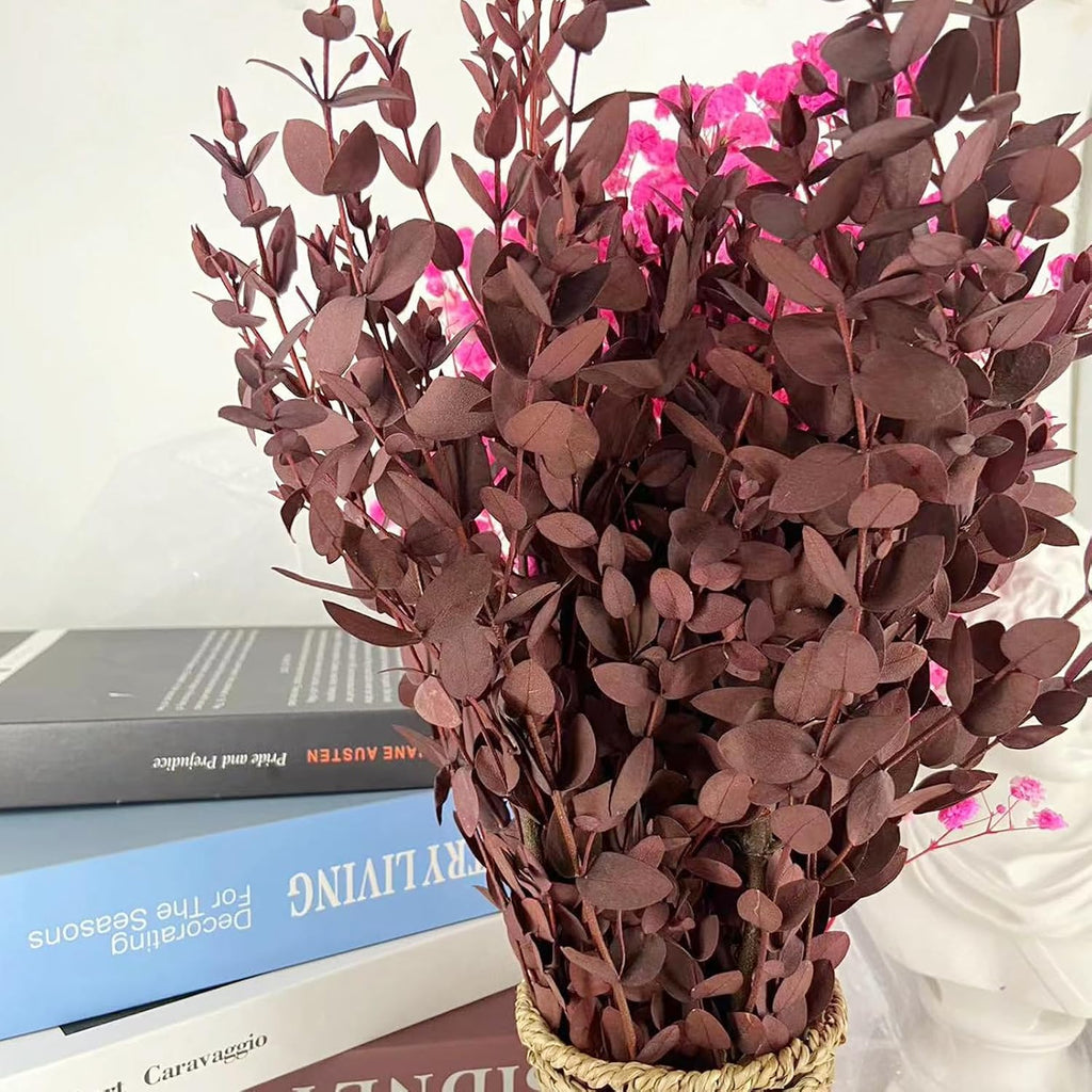 Preserved Dried Eucalyptus Greenery Stems, 20+ Pcs 16 inches Natural Long Lasting Eucalyptus Bundles for Vase Arrangements Home Decoration Photo Props Parties and Weddings, DIY Décor-Red