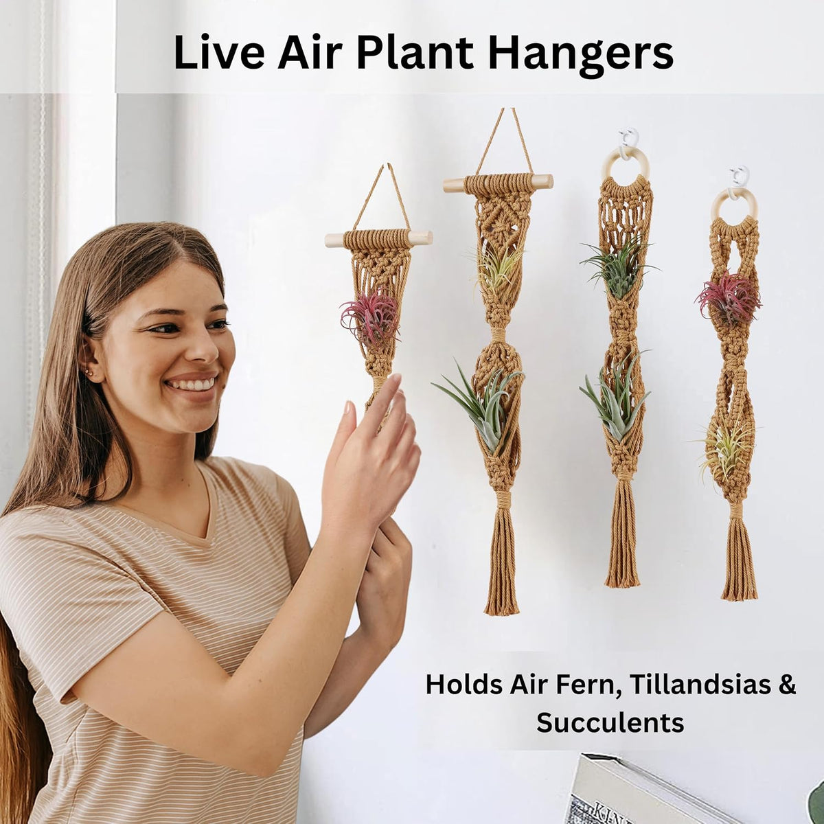 2 Tier 4 Pack Air Plant Holder, Air Plant Wall Hanger