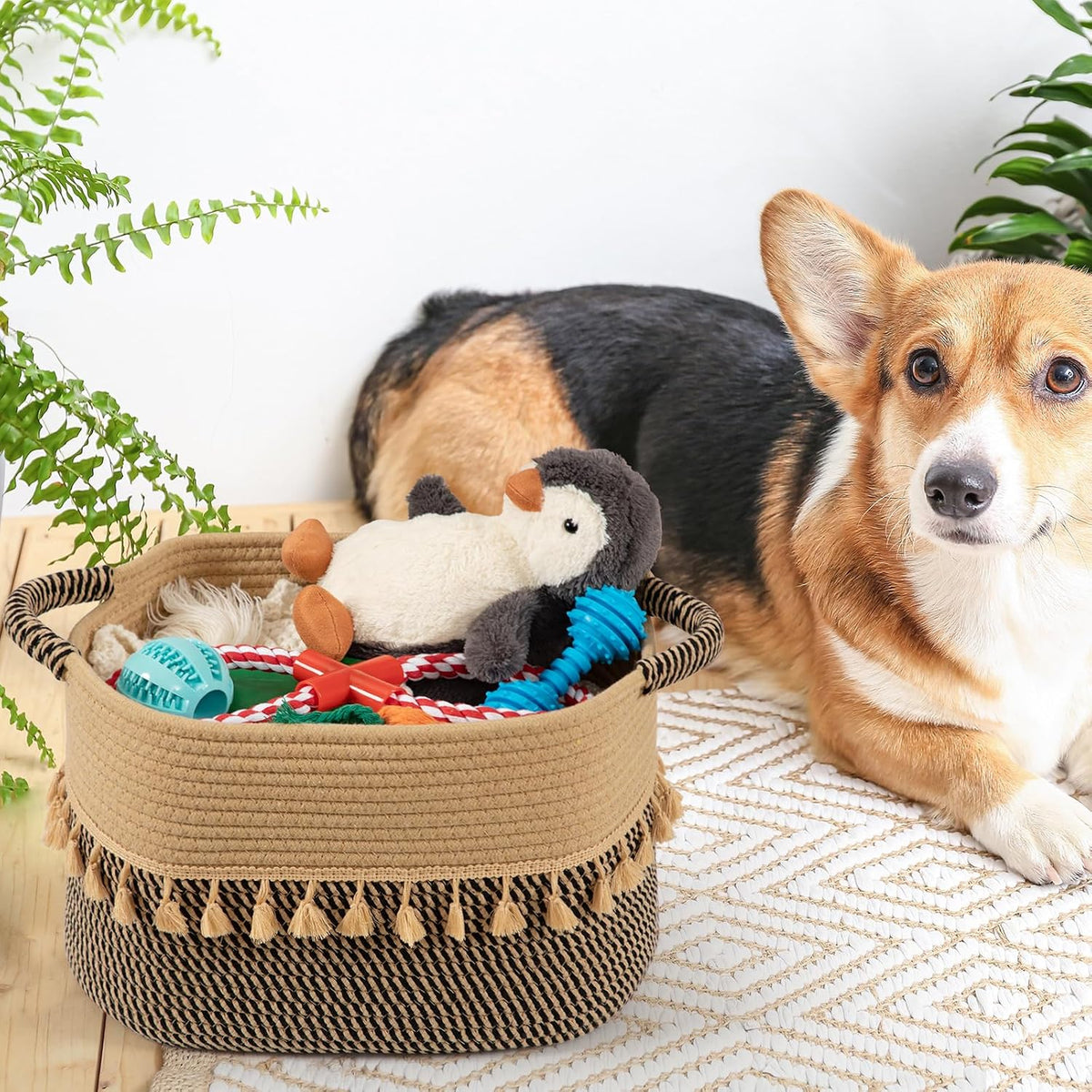 TeoKJ Set of 2 Baskets for Organizing, Decorative Rope Baskets for Storage, Storage for Pets, books, Pillows, Toys & Cloths, Black & Jute