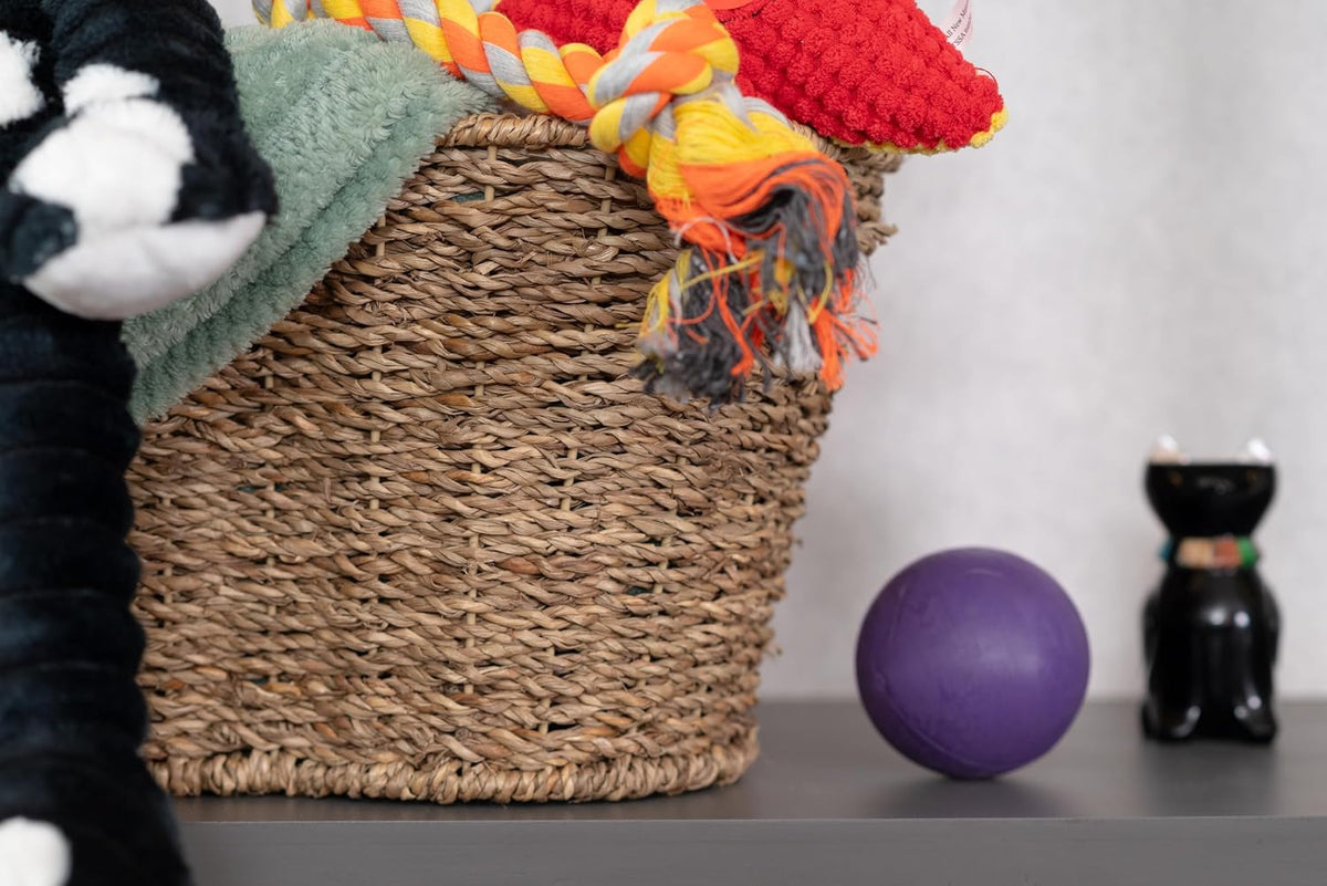 OtterPets Dog Toy Basket, Seagrass Bone Shaped Dog Toy Bin, 17x13”