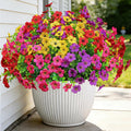 Artificial Flowers for Outdoors (12, Purple Red Yellow Hot Pink)