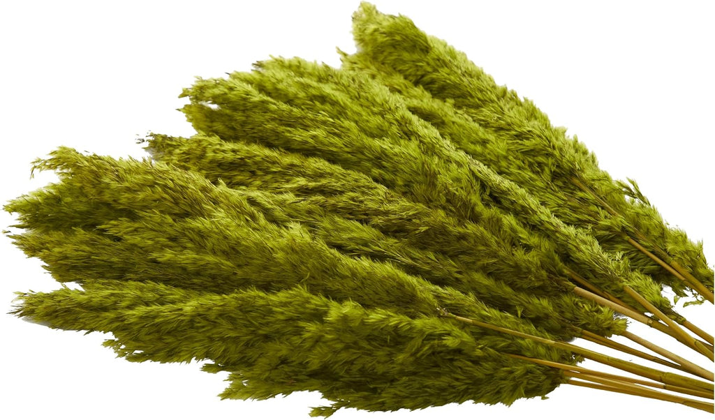 Deco 79 Dried Plant Pampas Home Decor Natural Foliage Natural Dried Foliage with Long Stems, Foliage for Decoration 2" x 1" x 35", Green
