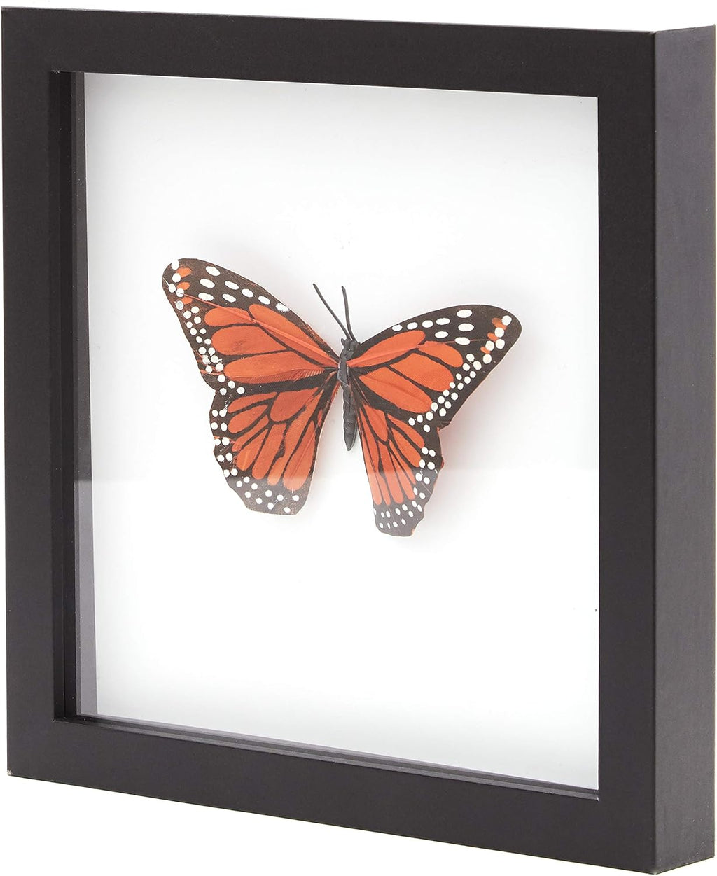 Super-Sturdy 8x8 Shadow Box Frame 1pk – MDF Display with Real Glass. Best Shadowbox to Showcase Photos, Tickets, Wedding Bouquets, CDs, Medals, Awards, and Insects (1, Display Black)
