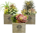 Artificial Plants Indoor with LED Lights, Small Fake Plants