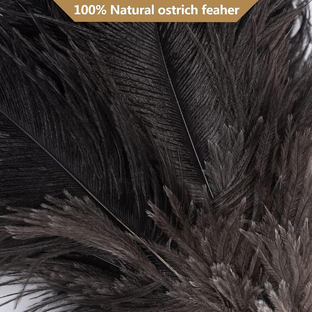 Aldwin Ostrich Feather Dusters for Cleaning, 16 inch Black