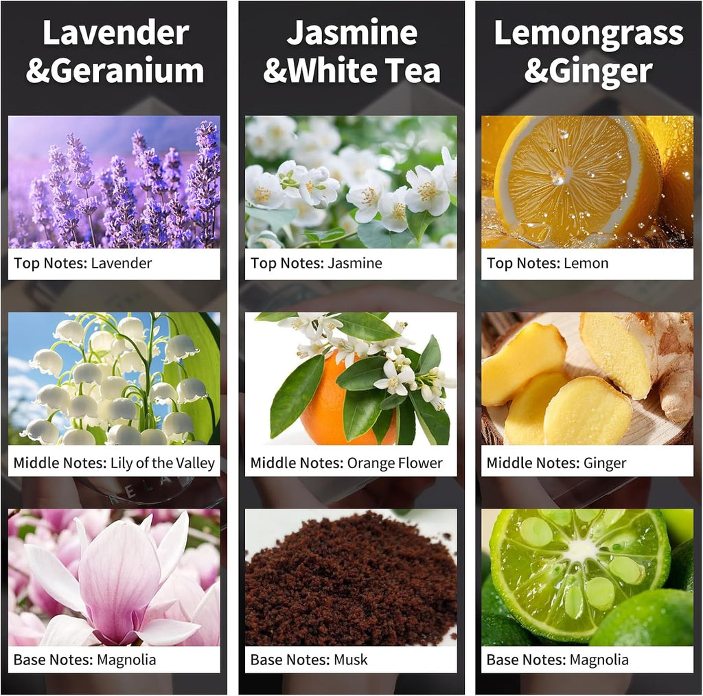3 Pack Fragrance Reed Diffuser, Lavender Jasmine Lemongrass, 50ML