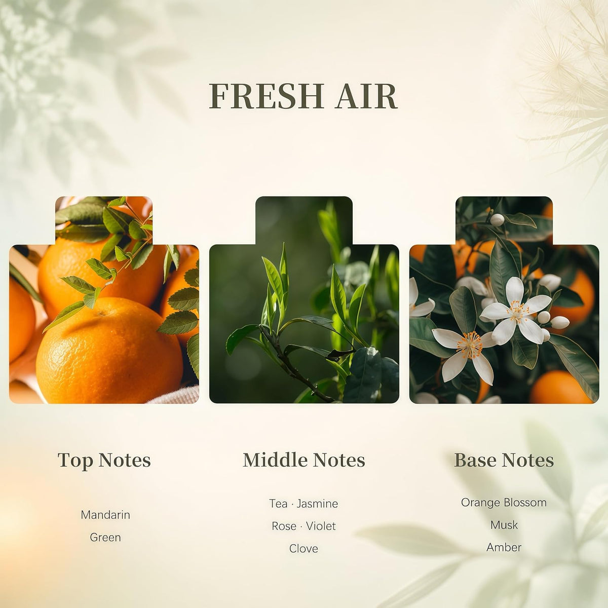 Airkeep Flower Reed Diffuser Set, Fresh Air Diffuser Set, 5.07 Fl.oz (150ml), Home Fragrance, Bathroom, Bedroom & Home Décor, Air Freshener