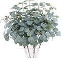 5Pcs Artificial Eucalyptus Stems Faux Greenery Silver Dollars Eucalyptus
