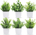 Der Rose 6 Pack Small Potted Fake Plants for Bathroom Home Decor Indoor