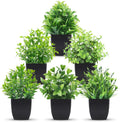 Der Rose 6 Pack Mini Fake Plants in Black Pots, 7" Bathroom & Desk Decor