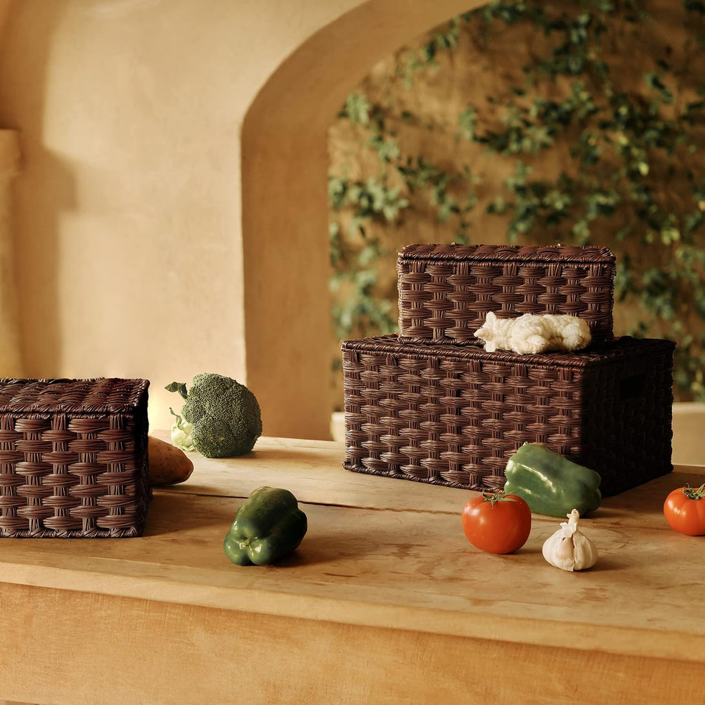 GRANNY SAYS Wicker Baskets with Lids, Decorative Storage Boxes with Lids
