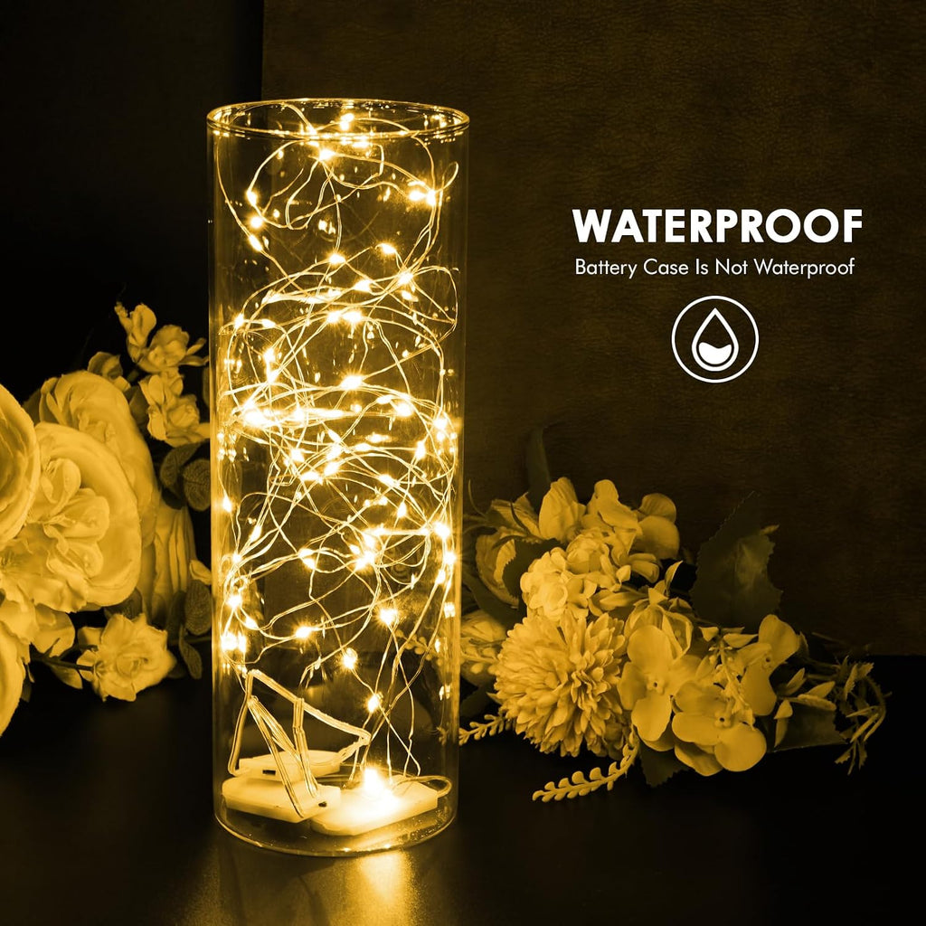Bexdir 12 Pack 7ft Warm White Fairy Lights, 20 LED Battery String Lights